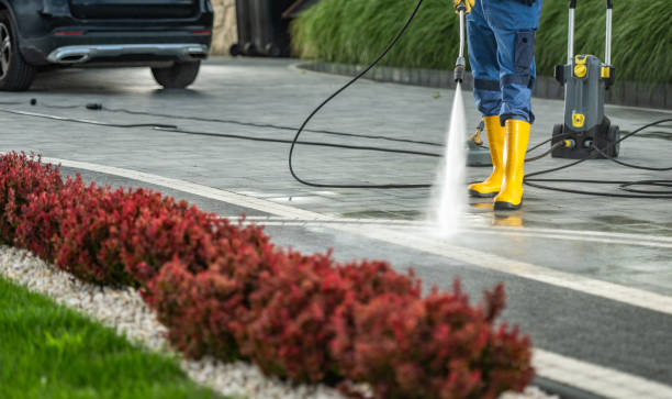 Best Roof Pressure Washing  in Hopkins, SC